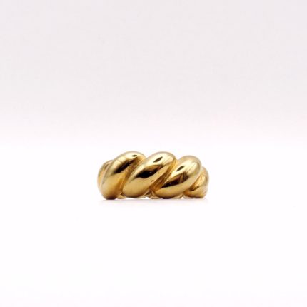 Anillo Nudal
