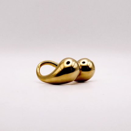 Anillo Toro
