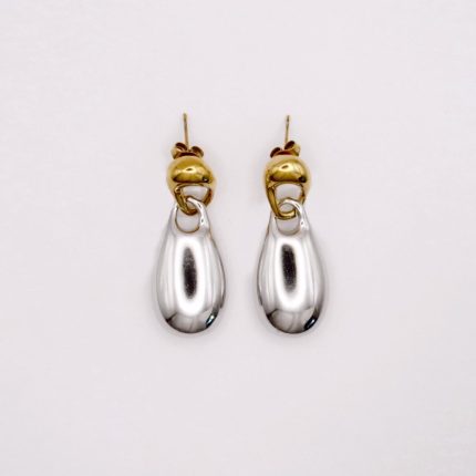 Aretes bicolor